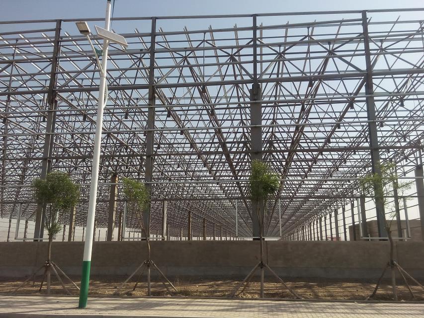 三亞汽車工業廠房網架