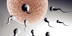 精子活力低的原因是什么